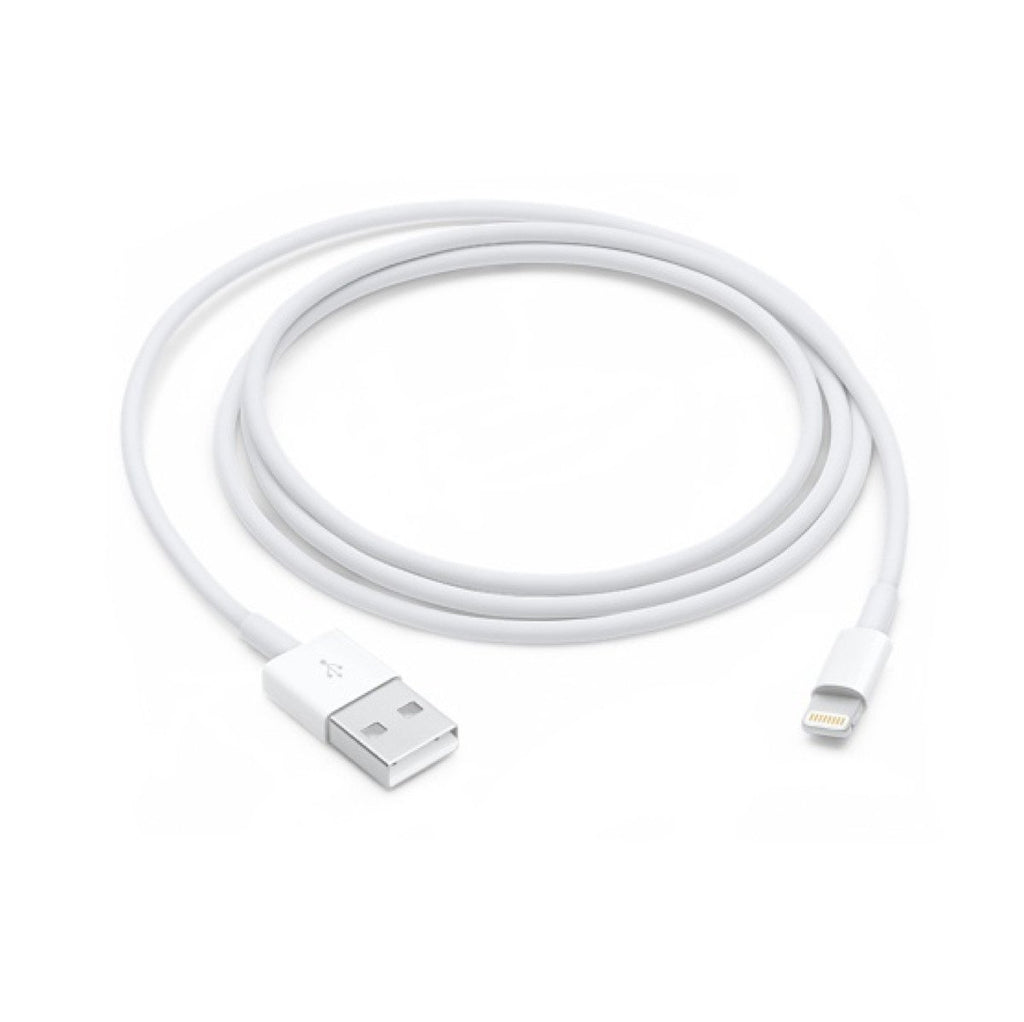 Apple Lightning to USB-C Cable