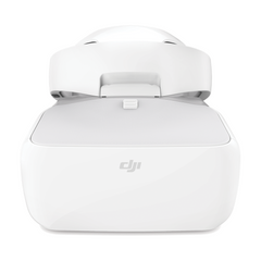 DJI Goggles