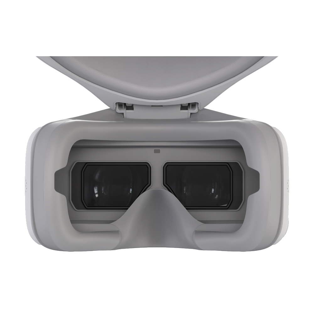 DJI Goggles