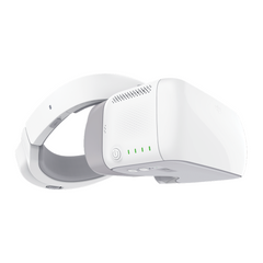 DJI Goggles